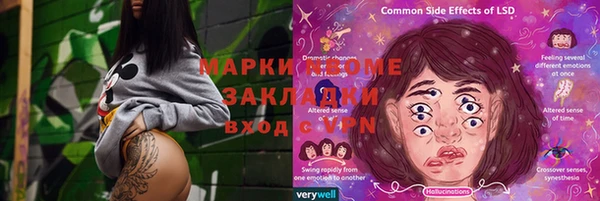 тгк Дмитровск