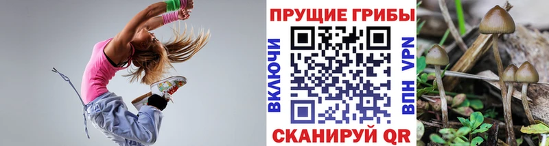 Псилоцибиновые грибы Psilocybine cubensis  Будённовск 