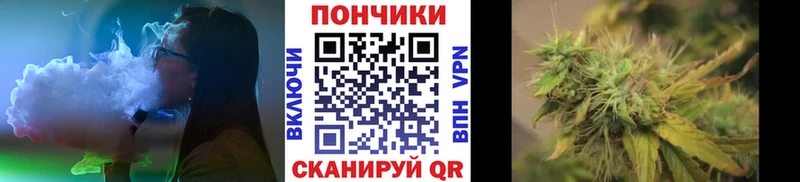 Канабис индика  Будённовск 